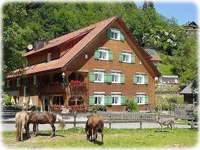 Hotel Schäfle Bürserberg