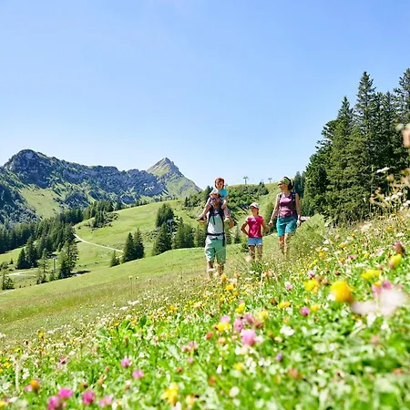 Hotel Schaefle 3*
