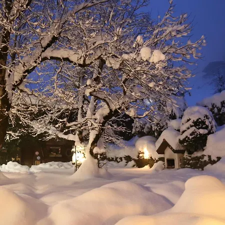 Schäfle Hotel Bürserberg