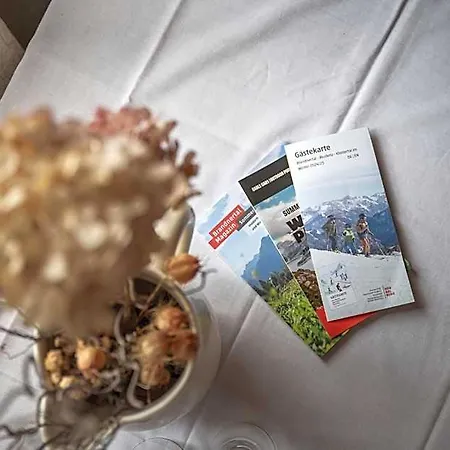 Hotel Schaefle 3*