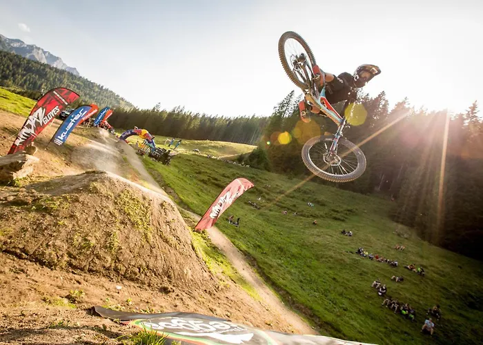 Schaefle 버서버그