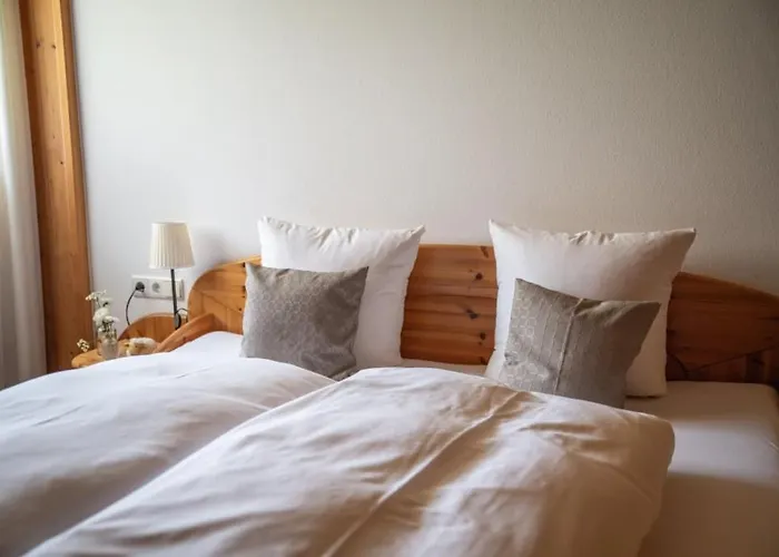 Schäfle Hotel Bürserberg