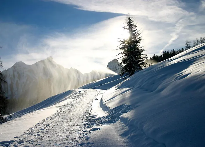 Schäfle Hotel Bürserberg
