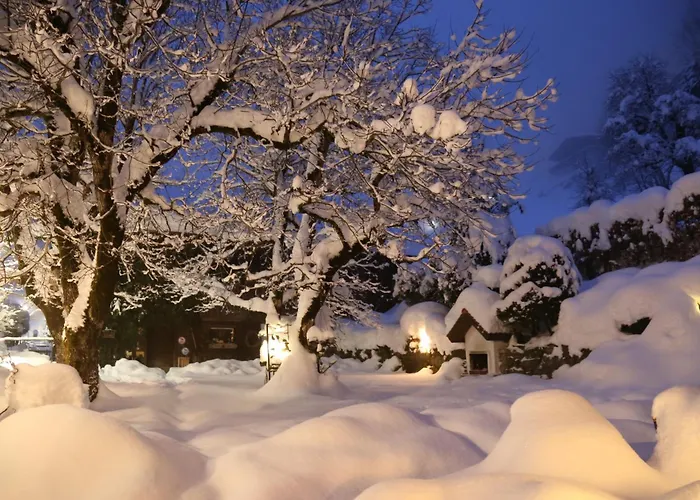 Schäfle Hotel Bürserberg